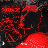 Vte - DAMAGE