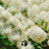 Ghosts From Another Universe