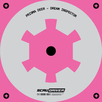 Prisma Deer - Dream Inspector