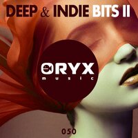 Deep & Indie Bits, Vol. 2