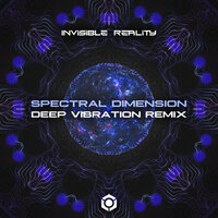 Spectral Dimension