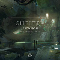 Shelter, 2019