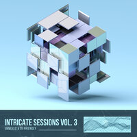 Intricate Sessions, Vol. 03, Unmixed, 2020