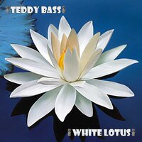 Teddy Bass - Top Funk