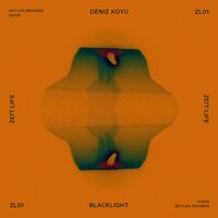 Deniz Koyu - Blacklight
