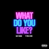 Bizzy Crook & Ty Dolla $ign - What Do You Like