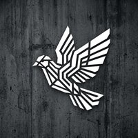 DJZHUKOV - Одинокий голубь