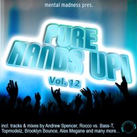 Mental Madness Pres. Pure Hands Up! Vol. 12, 2011