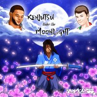 Kenjutsu Under the Moonlight