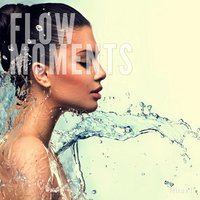 Flow Moments, Vol. 1, 2017