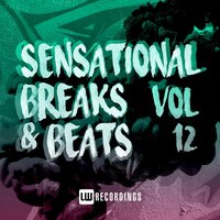 Sensational Breaks & Beats, Vol. 12, 2021