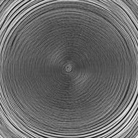 THIS NOT A SONG "THIS FOR MY SUPPORTERS"