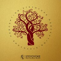 Steyoyoke Perception, Vol. 3, 2018