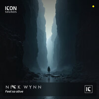 Nick Wynn - Feel so alive