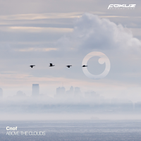 Cnof & Salem Focus - Double Or Nothing