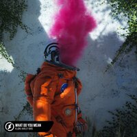 What Do You Mean - Kløn & Harley Bird