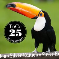 Toco Silver Edition, 2014