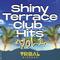 Shiny Terrace Club Hits