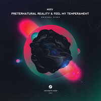 Preternatural Reality / Feel My Temperament