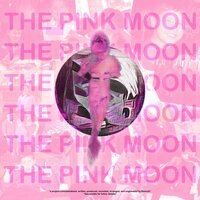 INDIGO CHILD II. the pink moon.