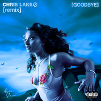 Ayra Starr & Chris Lake - Goodbye (Warm Up)