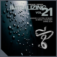 Initializing, Vol. 21, 2019