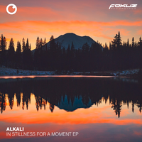 Alkali. - You're Not There