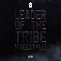 Leader Of The Tribe