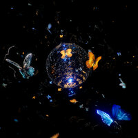 Shygirl - BB Trek (DJ Zinc mashup)