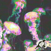 B&S Concept - I'm Feelin