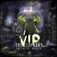 The Elephant (WILD) [VIP], 2019