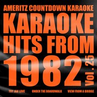 Karaoke Hits from 1982, Vol. 25