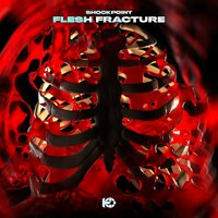 Flesh Fracture