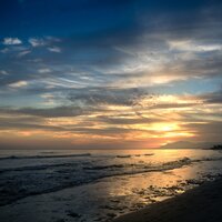 Sounds of Nature | Relaxing Therapy | Sleep