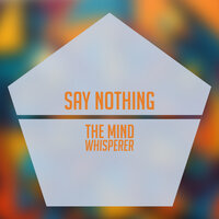 Say Nothing