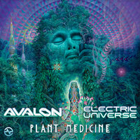 Avalon & Electric Universe - Plant Medicine