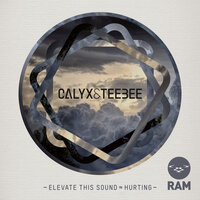 Calyx & Teebee - Elevate This Sound