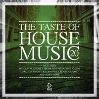 The Taste of House Music, Vol. 20, 2017