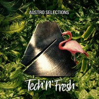 Austro Selections: Tech'n'fresh, 2018