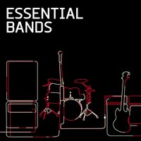 Essential Bands, 2006