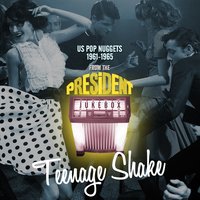 Teenage Shake - Us Pop Nuggets 1961-1965 from the President Jukebox
