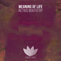 Aetius Boutefoy - Meaning of Life
