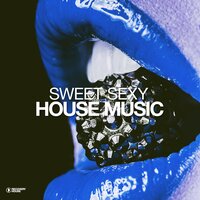 Sweet Sexy Housemusic, Vol. 4, 2024