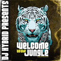 DJ Hybrid - Liberation