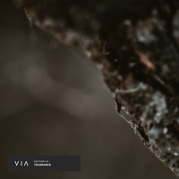 Section 63 - Primal Rhythm