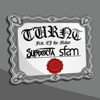 SubDocta & EJ THE MAKER & sfam - Turnt