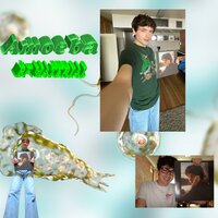 BF Material - Amoeba