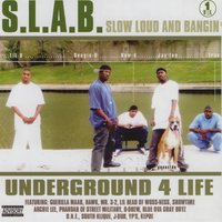 Trae Tha Truth & DZ & Lil Head & Jay'ton & Lil Two & Dougie-D - Real Niggaz Roll Slab
