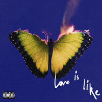 Love Is Like - Maroon 5 & Lil Wayne