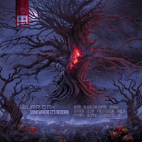 Somewhere It's Reborn